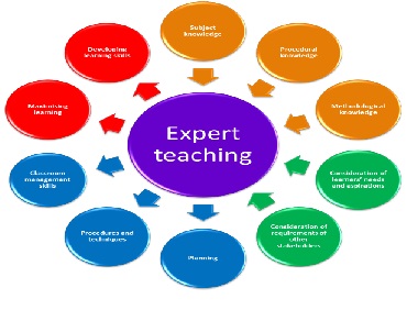 Expert-Teaching